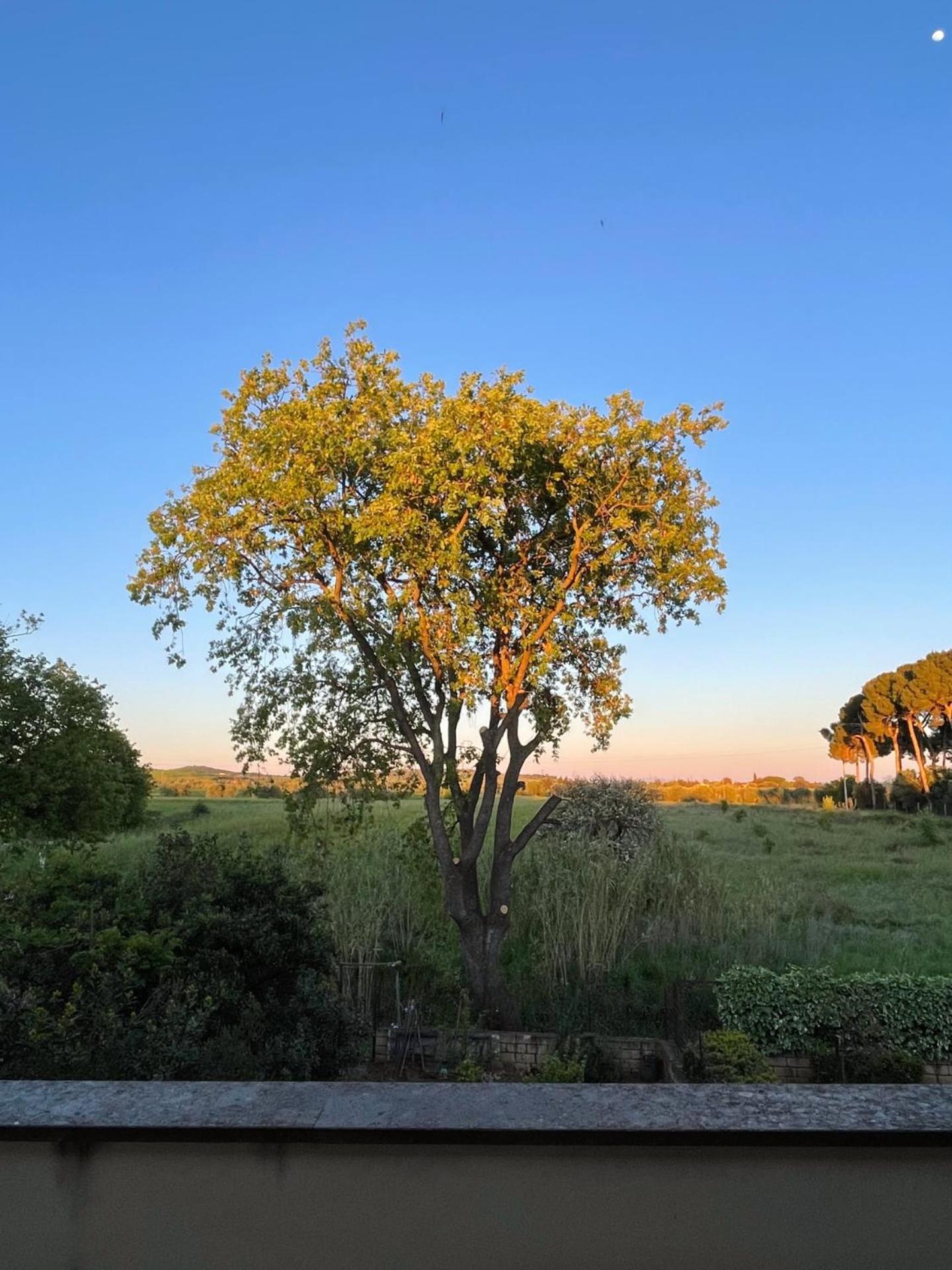 La Quercia Holiday Home Капалбио Екстериор снимка